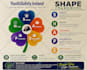 professionally edit your flyer brochure and poster in 1 hour