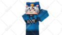 make professional 3d render of your minecraft skin