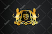 design heraldic,gold,coat of arm,vintage,retro modern 3d luxury logo