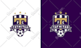 create a professional logo for your soccer team