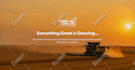 design and build wix editor or wix studio website