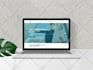 do wordpress website development for ecommerce and business website