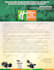 design outstanding flyer for you within 24 hours