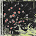 design album cover art for single, ep and album
