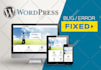 create an ecommerce business or shopping website