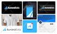 design a minimalist business logo, branding kit, brand identity and brand guide