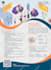 customized fixes for brochures and flyers