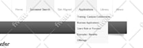 fix bugs in your website and make mobile friendly responsive