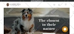 design or redesign a responsive wordpress or landing page or ecommerce