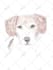draw digital scribble pet portrait