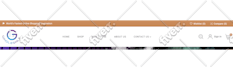 do shopify custom coding, bug fixing and shopify theme customization