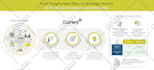 create custom infographic charts and data visualization for your business