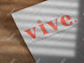 design your minimalist or wordmark logo for you