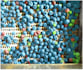 deliver the best image annotation, bounding box, data labeling