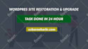fix issue or bug with wordpress website in 24h