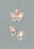 create a high end jewelry design for presentation