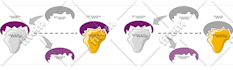 make a scientific illustration for your next paper