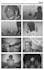 create industry standard professional storyboards