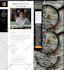 build,  redesign, design , update, develop,clone, or customize wordpress website