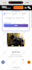 fix wordpress bugs, php errors, html css issue in 1 hours
