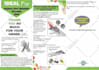 design eye catching  flyers brochure and posters