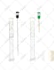 draw professional anatomy and medical illustrations