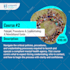 design a custom social media post design for instagram and facebook