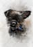 draw cute custom dog and other animals portrait for you