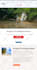 customize wpml wordpress website,menu translation errors,wpml translation issues