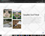fix wordpress bugs, issues, errors or site down