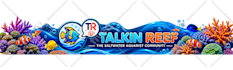 design 3 world class logo for your website brand