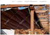 do website development as full stack web developer, front end, backend developer