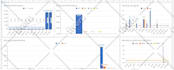do stunning dashboards data entry pivot slicer chart report analysis in excel