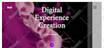 install wordpress and setup theme,  customization
