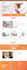 design and develop a professional wordpress website