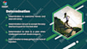 design canva slides, ppt slides and custom presentation templates