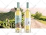 do professional and print ready wine label design