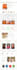 design amazing ebay html listing template and ebay store