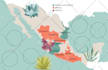 design a vector map illustration