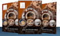 do professional flyer design and poster