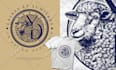 do custom professional hand drawn vintage logo