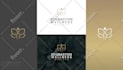 do 3 modern minimalist luxury business logo design