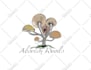 create nature based logo