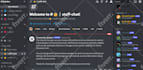 setup custom discord server within 12 hours