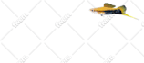 make transparent backgrounds or cut off the pictures