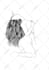 drawing black and white illustrations with detailed lines
