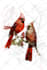 do watercolor illustration creatively