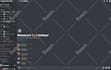 setup an advanced discord, within 24 hours