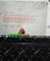 math, mathematics, calculus, algebra and precalculus tutor