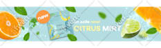 design creative social media posts, banner ads